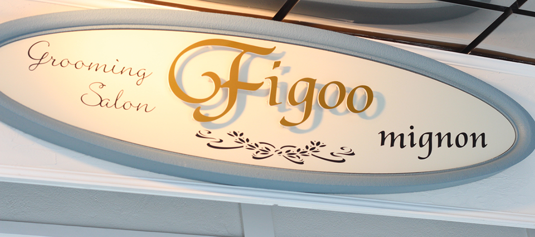 Figoo mignon（フィゴー ミニヨン）