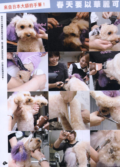 HongKong2