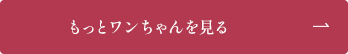 一覧を見る