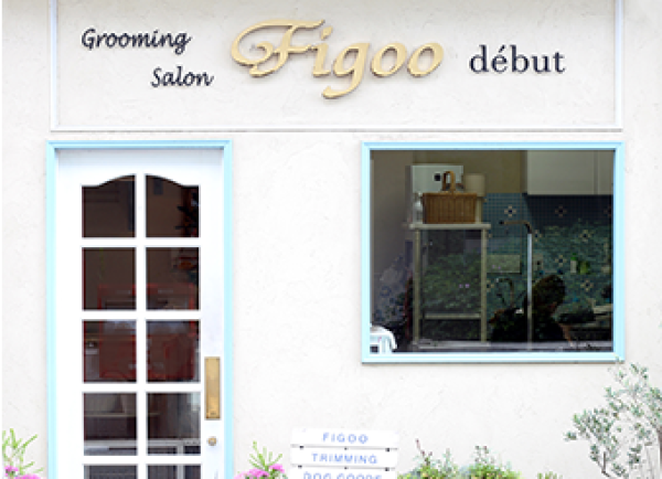 Figoo ​début フィゴー デビュー（祖師谷店）カテゴリイメージ