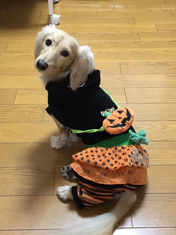 Happy Halloween！！サムネイル