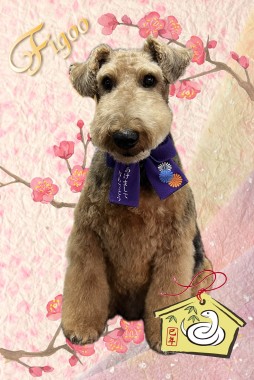 ロビンくんサムネイル