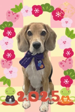 虎太くんサムネイル