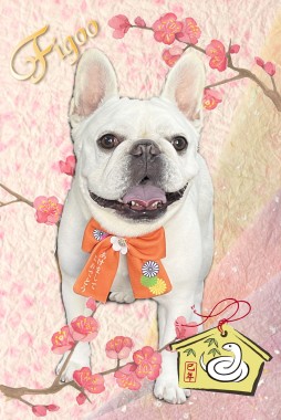 ラッキーくんサムネイル