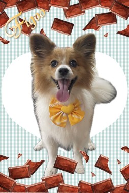 きららちゃんサムネイル