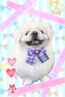 ちょびくんサムネイル