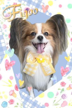 優くんサムネイル