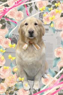 はなちゃんサムネイル