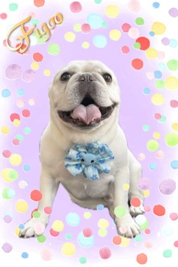 ラッキーくんサムネイル