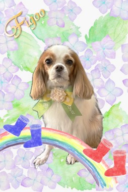 ミミちゃんサムネイル