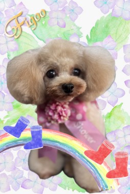 あんずちゃんサムネイル