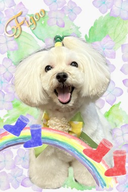 ミニトマトちゃんサムネイル