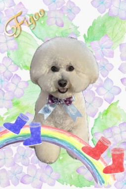 ぽぽくんサムネイル