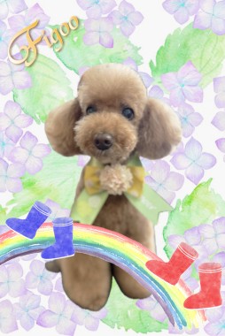 ニコルちゃんサムネイル