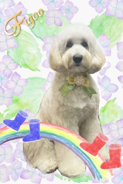ビビちゃんサムネイル