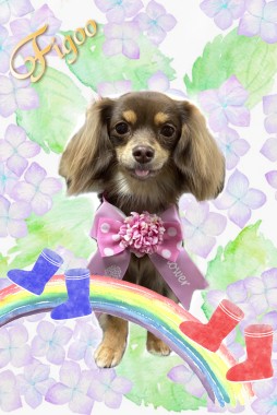ココアちゃんサムネイル