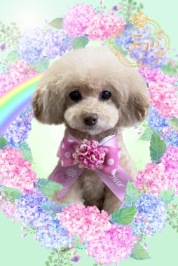 ゆめちゃんサムネイル