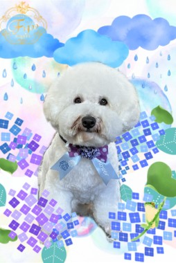 マルくんサムネイル