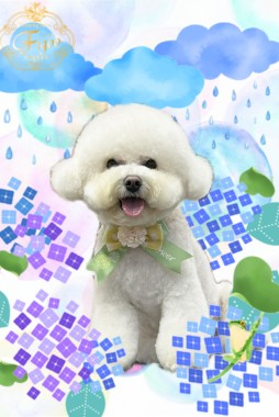 モッピーくんサムネイル