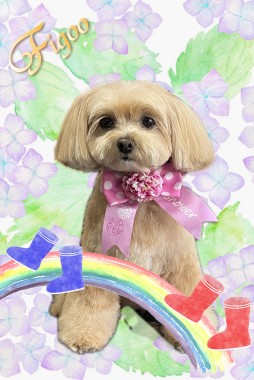 とまとちゃんサムネイル