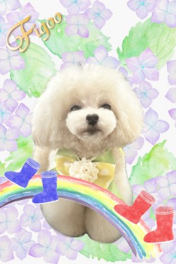 こつぶちゃんサムネイル