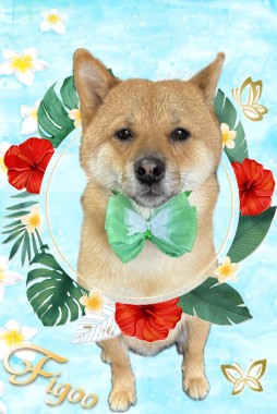 レフくんサムネイル