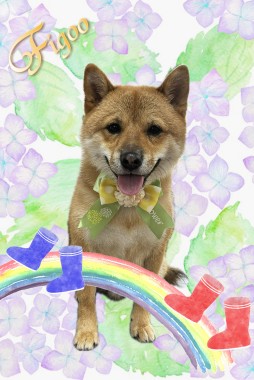 レフくんサムネイル