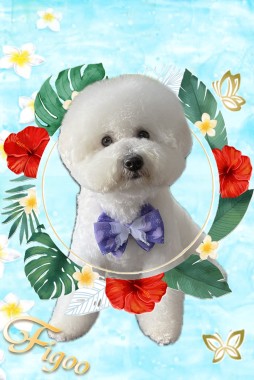 パポテくんサムネイル