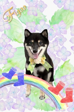 サリーくんサムネイル