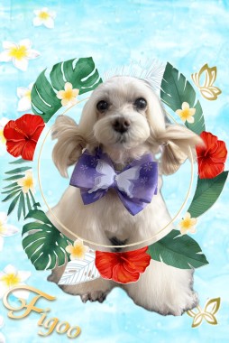 アプリちゃんサムネイル