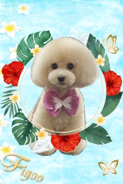 エラちゃんサムネイル
