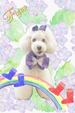 CLEAちゃんサムネイル