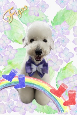 ティノくんサムネイル