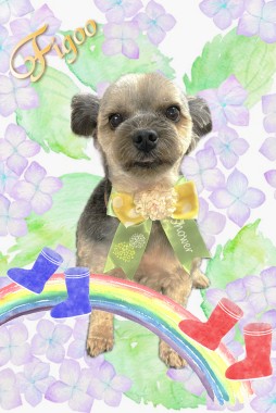 ケンケンくんサムネイル
