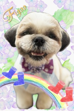 健太くんサムネイル