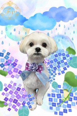 こたつくんサムネイル