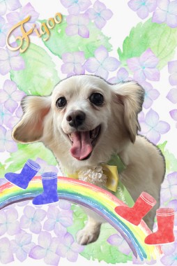 ヨンヨンちゃんサムネイル