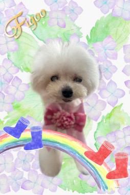 しぃちゃんサムネイル