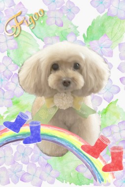 ルリィちゃんサムネイル