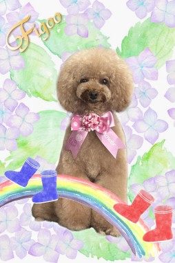 ローズちゃんサムネイル