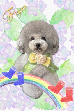 こぐまくんサムネイル
