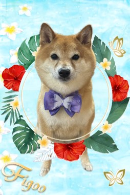 ケンくんサムネイル
