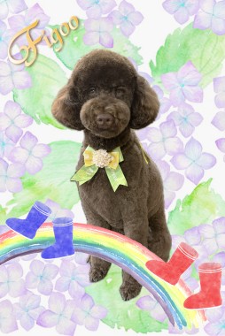 アルバくんサムネイル