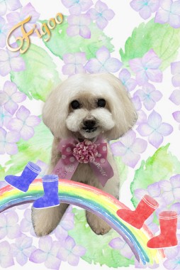 ノアちゃんサムネイル
