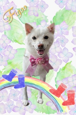 シロちゃんサムネイル