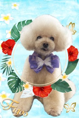 ちょこくんサムネイル