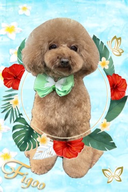 風くんサムネイル