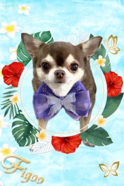 ニコちゃんサムネイル