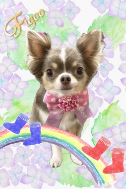 アビーちゃんサムネイル