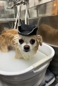 たぬくんえ